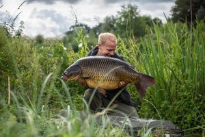 Twincarpnl evolution boilies