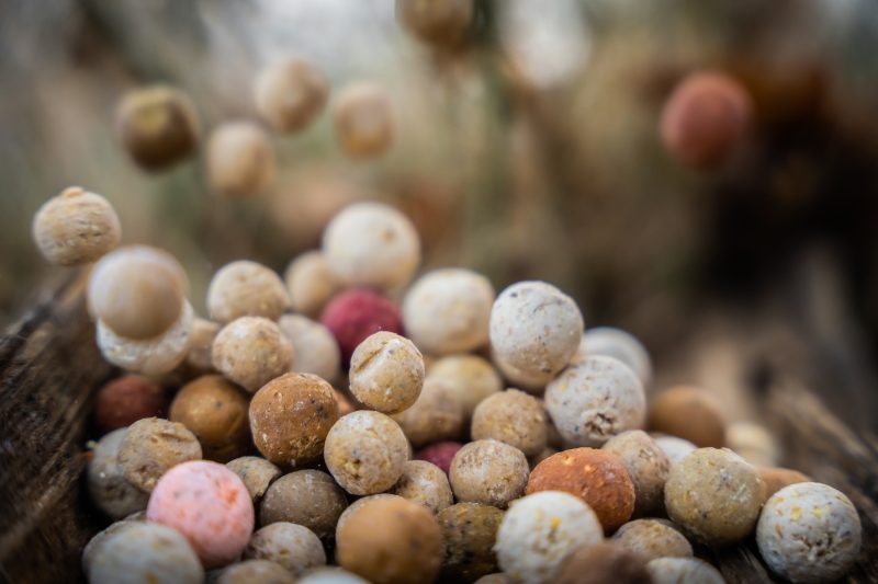 Voerboilies voor het karpervissen en voeren