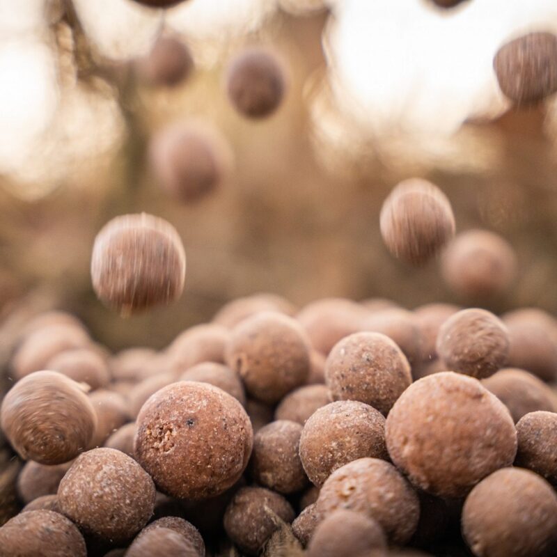 Readymade Krill Shrimp Trassi Boilies