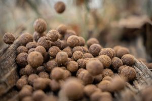 Beste winter boilie karpervissen