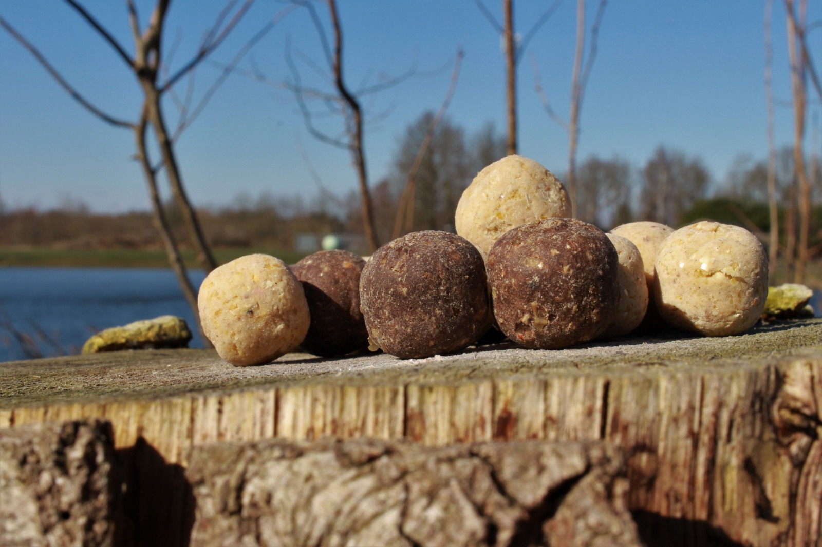 Hoge voedingswaarde boilie