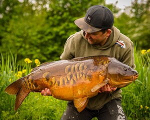 Grote spiegelkarper op boilies
