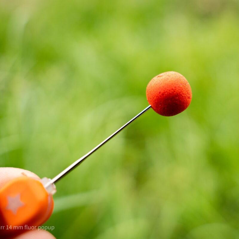 Fluo Pop Ups - Sweet Garlic
