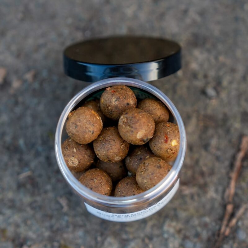 Bugs & Silkworm - Hard Hookbait